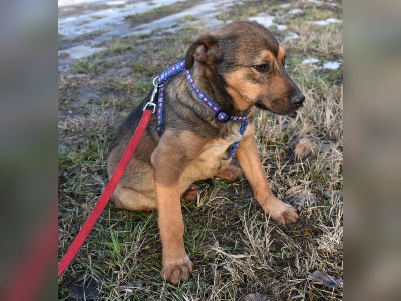 Gary - jung und gutaussehend sucht