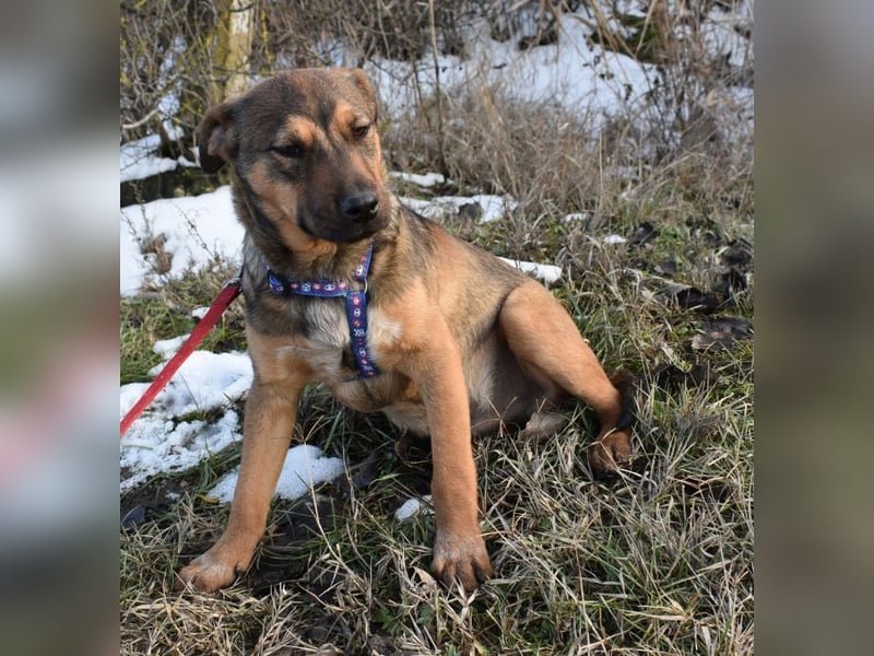 Gary - jung und gutaussehend sucht