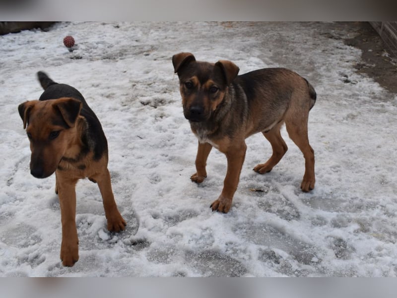 Gary - jung und gutaussehend sucht