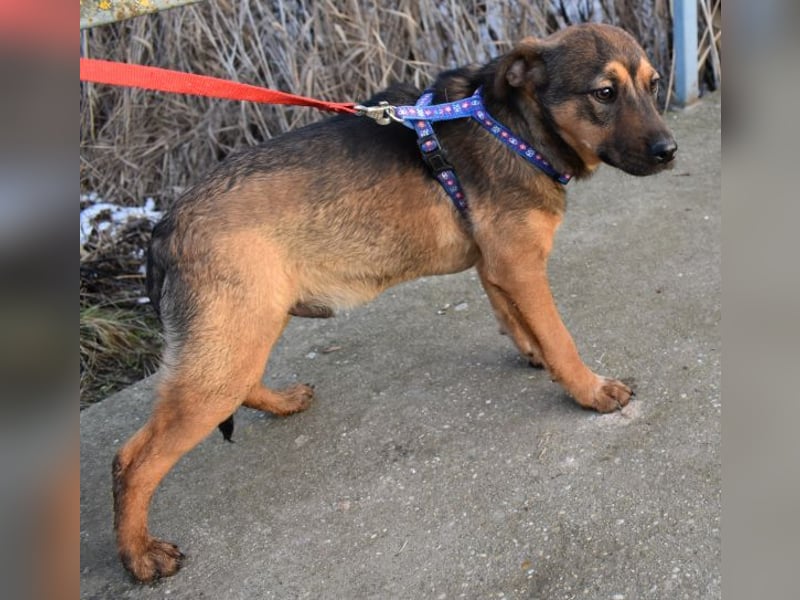 Gary - jung und gutaussehend sucht