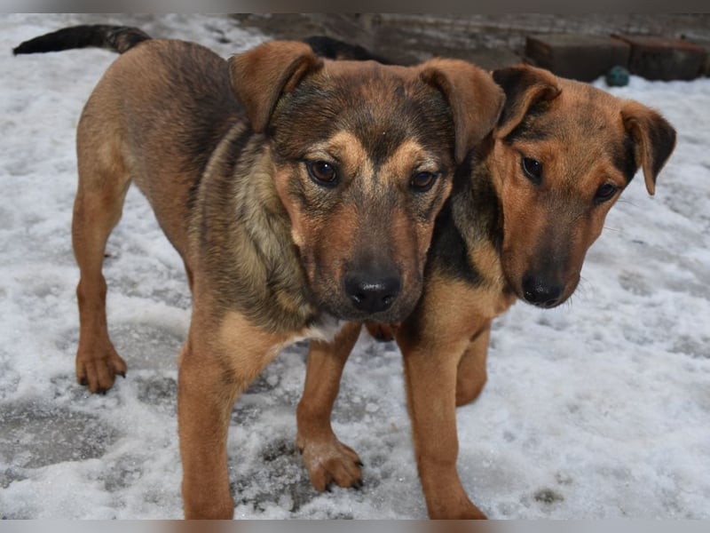 Gary - jung und gutaussehend sucht