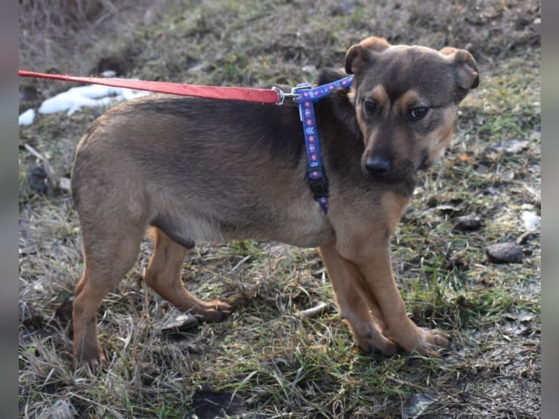 Gary - jung und gutaussehend sucht