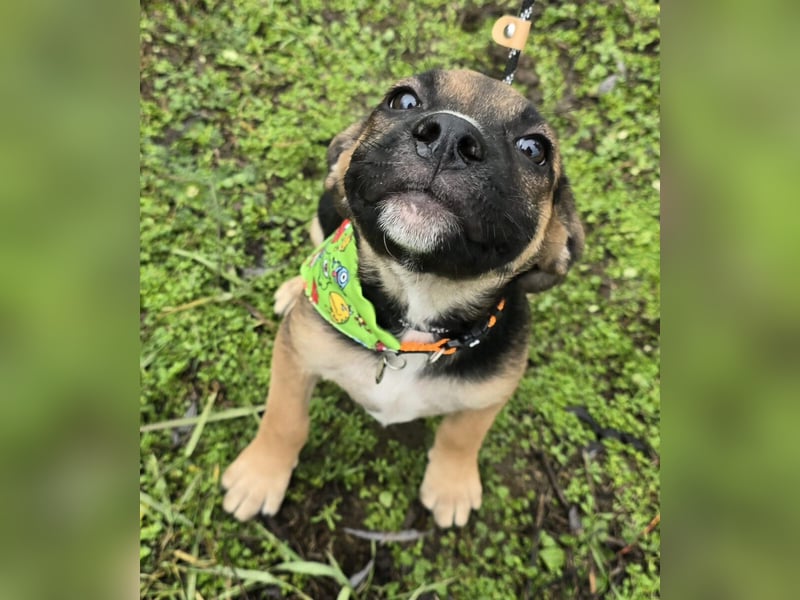 Räuber möchte Dein Herz stehlen