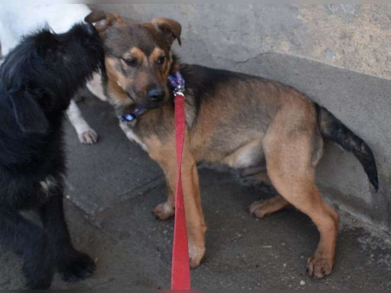 Gary - jung und gutaussehend sucht