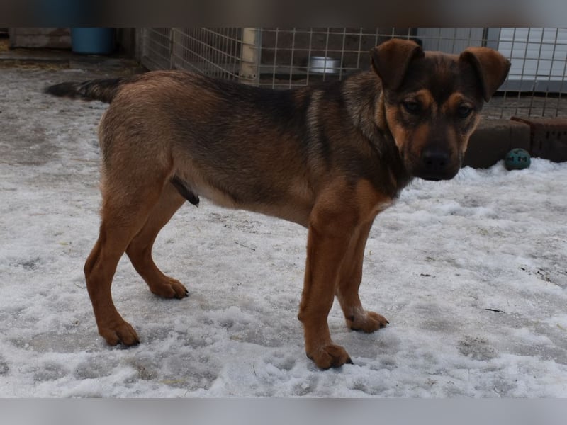 Gary - jung und gutaussehend sucht