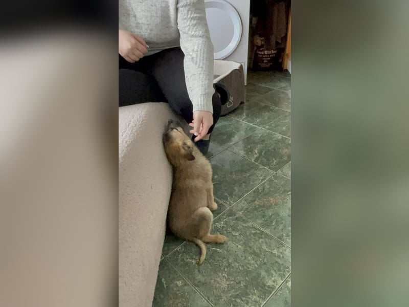 ELSA - ist bereit für ihr Abenteuer