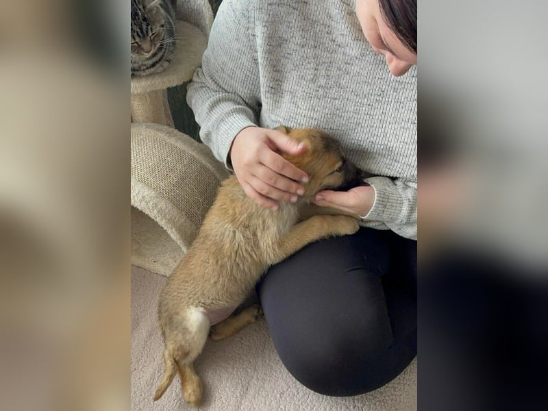 ELSA - ist bereit für ihr Abenteuer