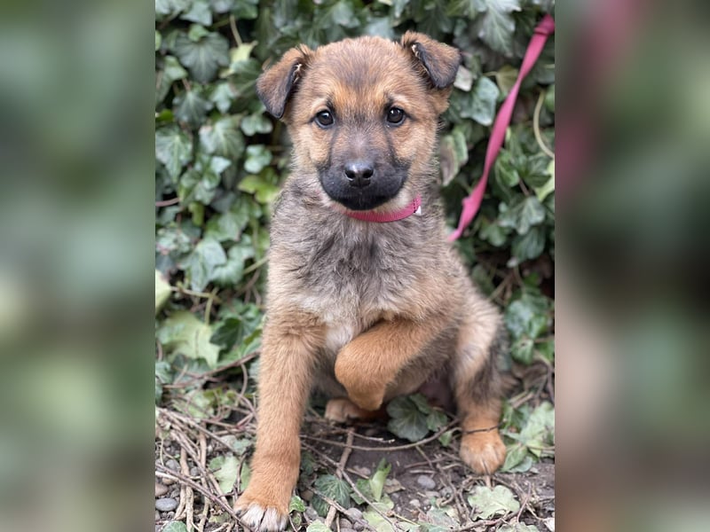 OTTO - Traumzuhause gesucht