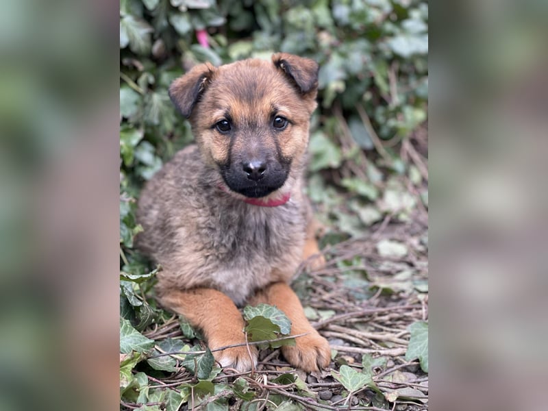 OTTO - Traumzuhause gesucht
