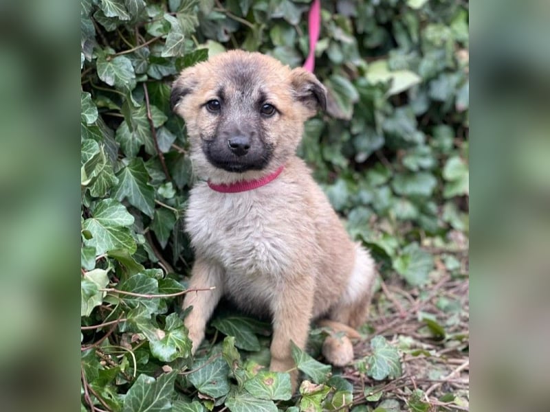 ELSA - ist bereit für ihr Abenteuer