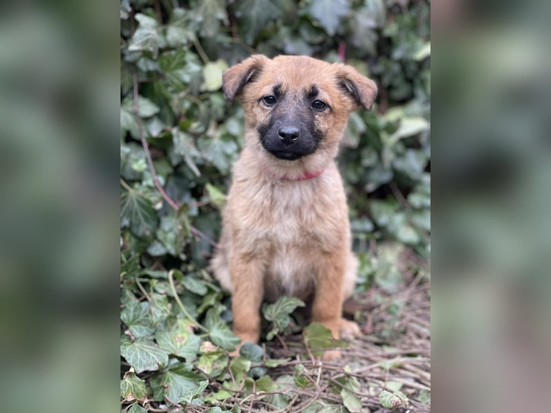 LUNA - darf sie mit dir die Welt entdecken?