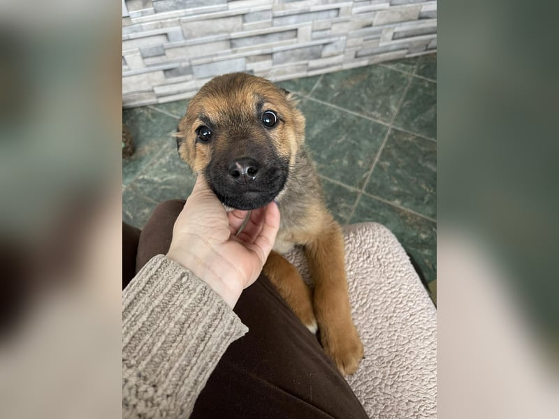 OTTO - Traumzuhause gesucht