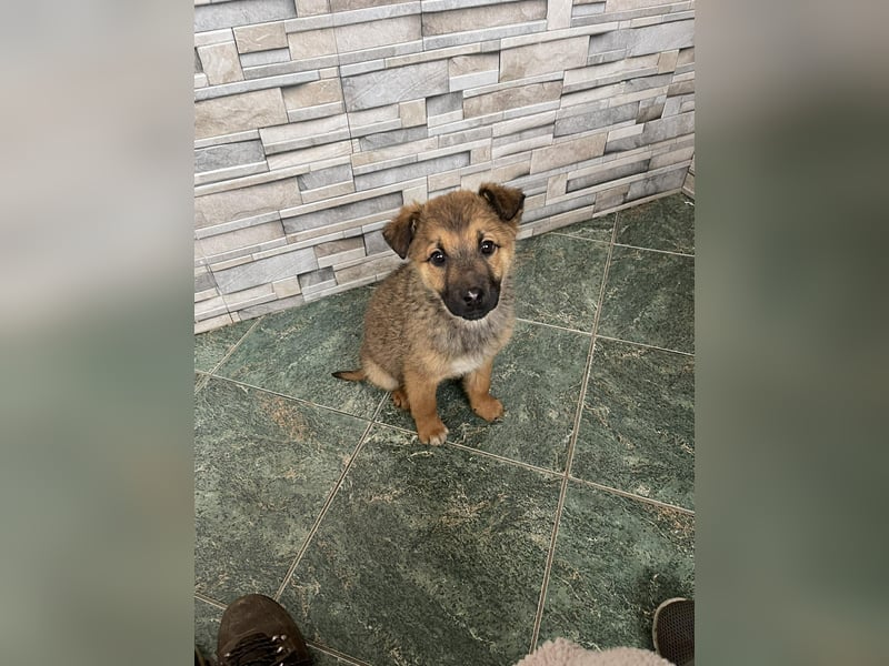 OTTO - Traumzuhause gesucht