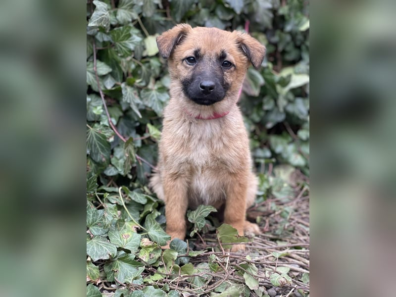 LUNA - darf sie mit dir die Welt entdecken?