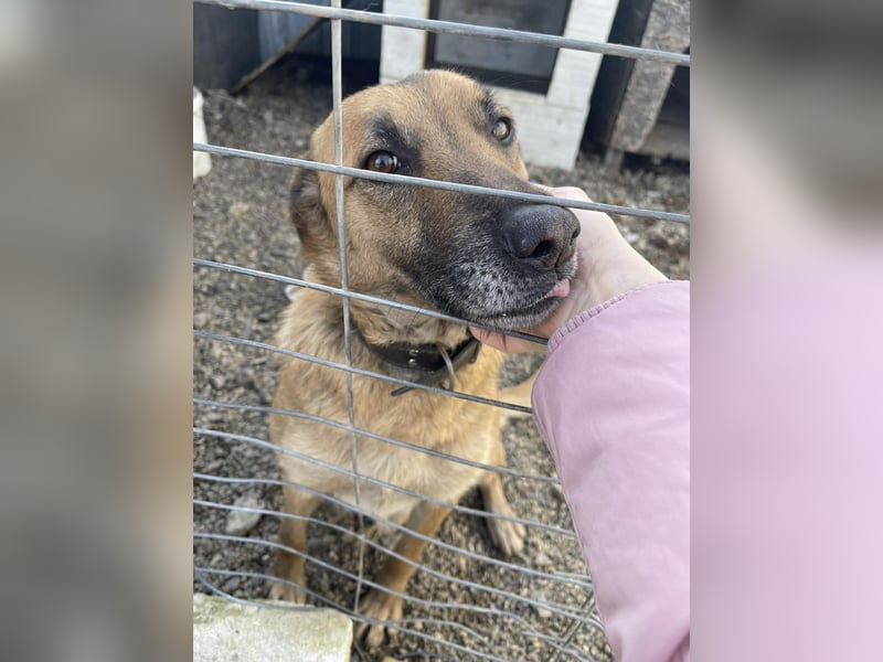 ELSA - ist bereit für ihr Abenteuer