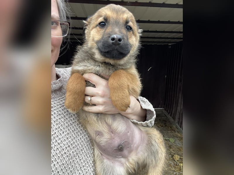 OTTO - Traumzuhause gesucht