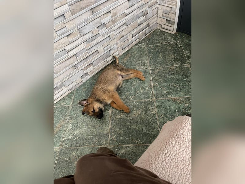 OTTO - Traumzuhause gesucht