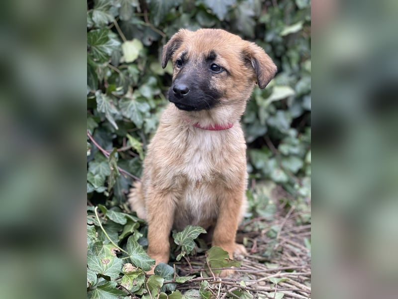 LUNA - darf sie mit dir die Welt entdecken?