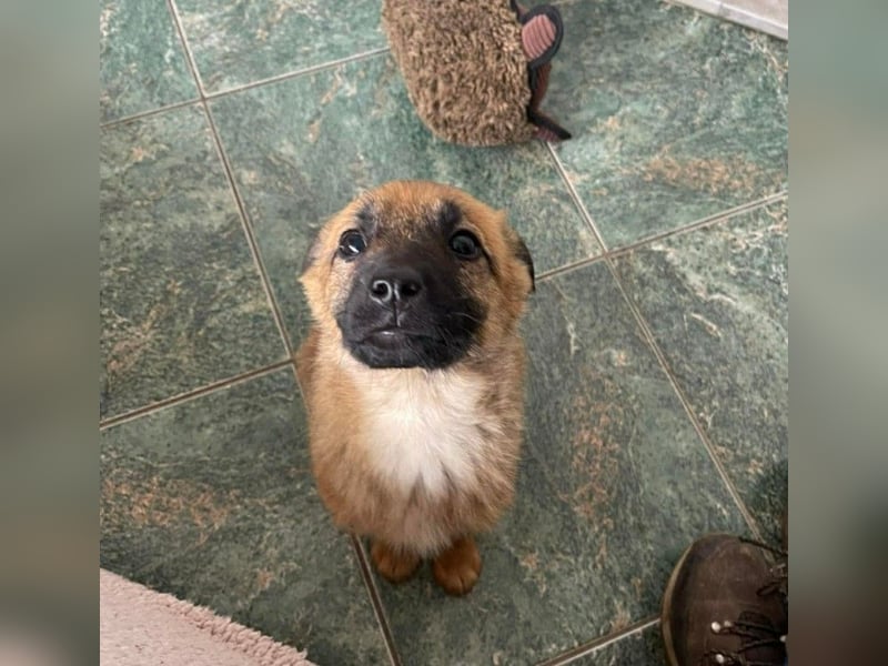 LUNA - darf sie mit dir die Welt entdecken?