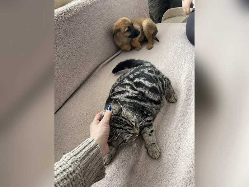 LUNA - darf sie mit dir die Welt entdecken?