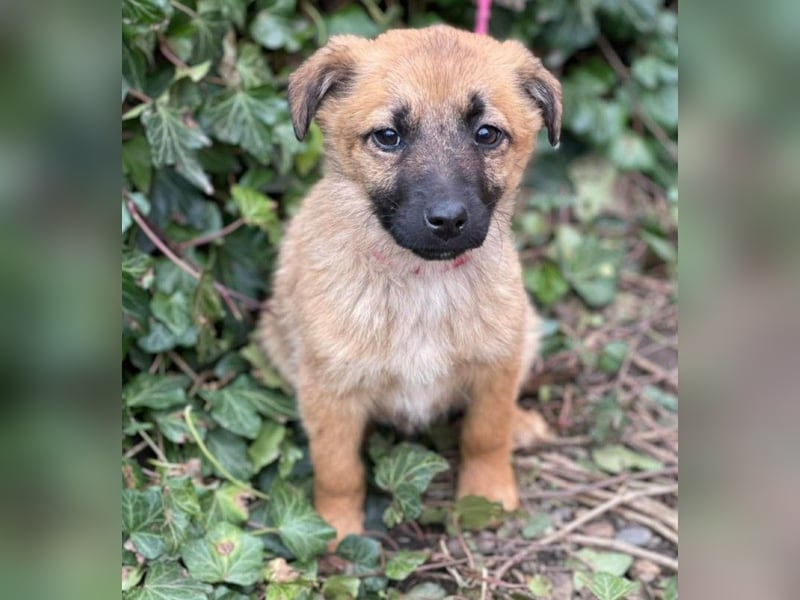 LUNA - darf sie mit dir die Welt entdecken?