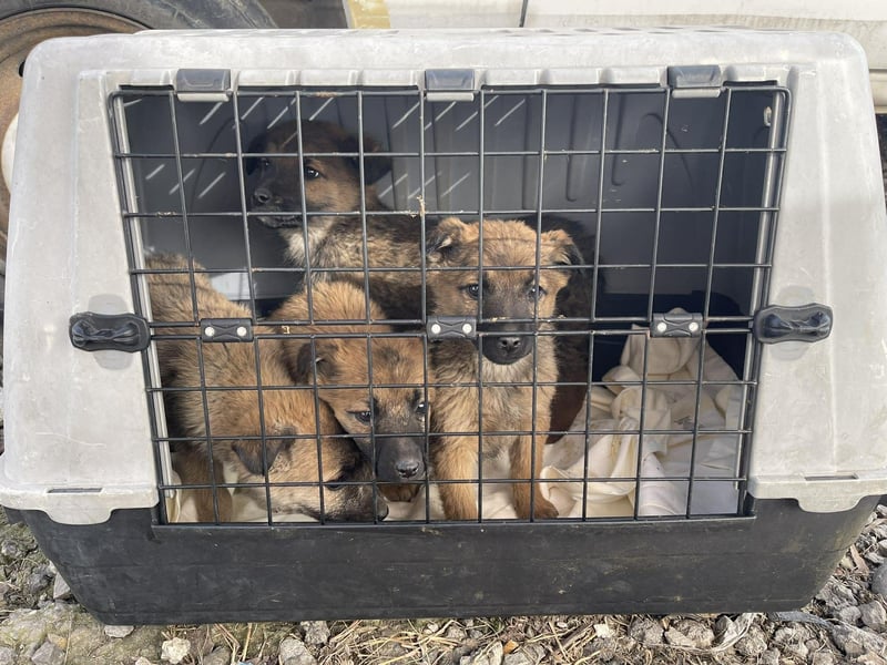 ELSA - ist bereit für ihr Abenteuer