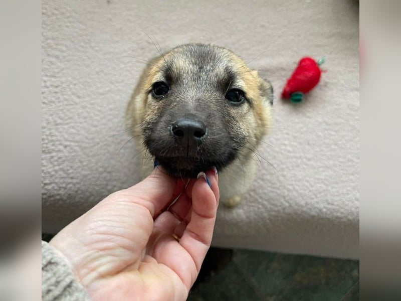 ELSA - ist bereit für ihr Abenteuer