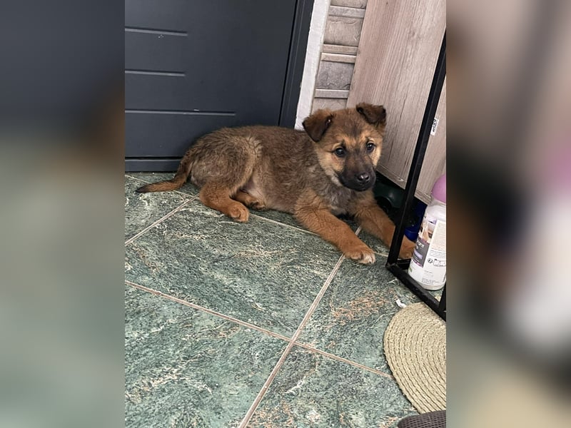 OTTO - Traumzuhause gesucht