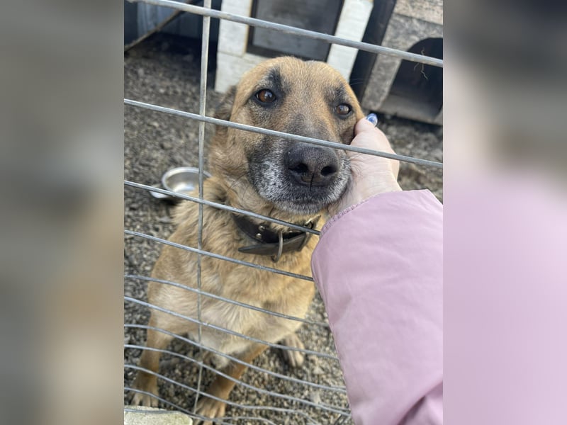 ELSA - ist bereit für ihr Abenteuer