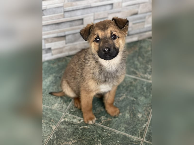 OTTO - Traumzuhause gesucht