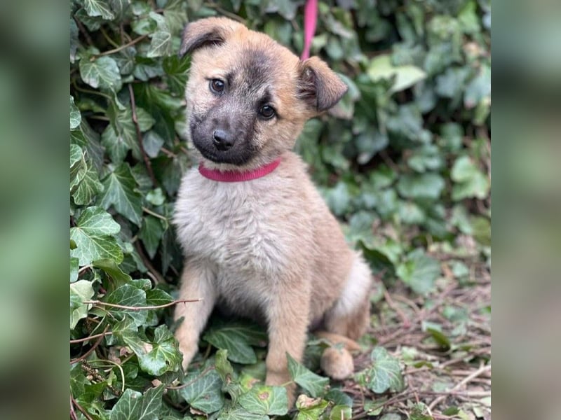 ELSA - ist bereit für ihr Abenteuer