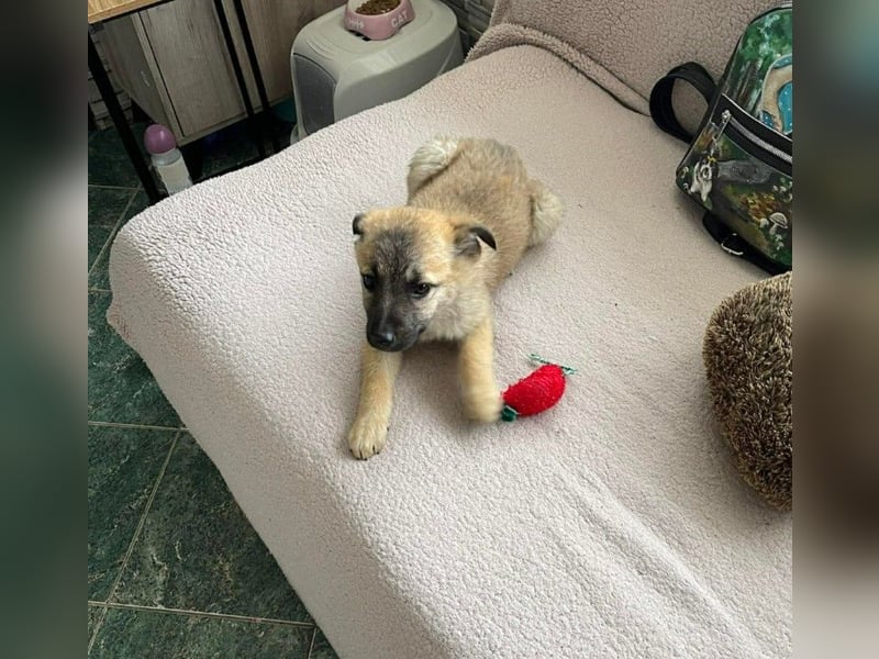 ELSA - ist bereit für ihr Abenteuer