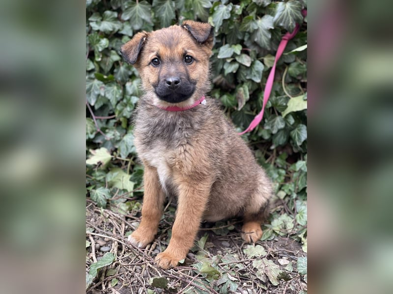 OTTO - Traumzuhause gesucht