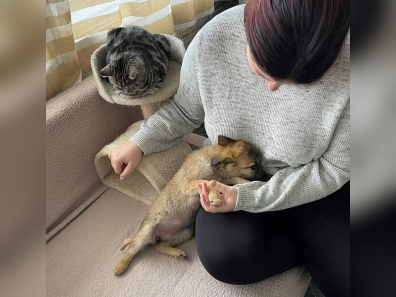 ELSA - ist bereit für ihr Abenteuer