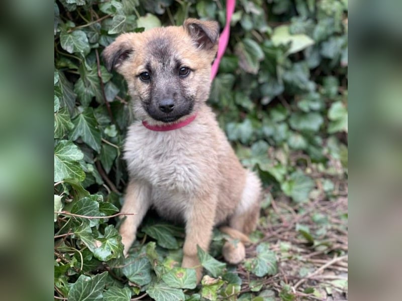 ELSA - ist bereit für ihr Abenteuer