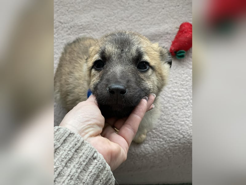 ELSA - ist bereit für ihr Abenteuer