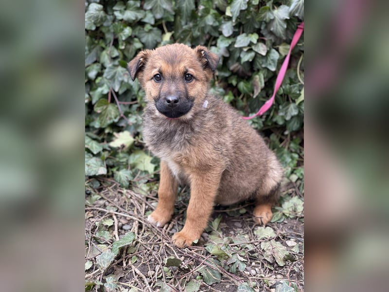 OTTO - Traumzuhause gesucht