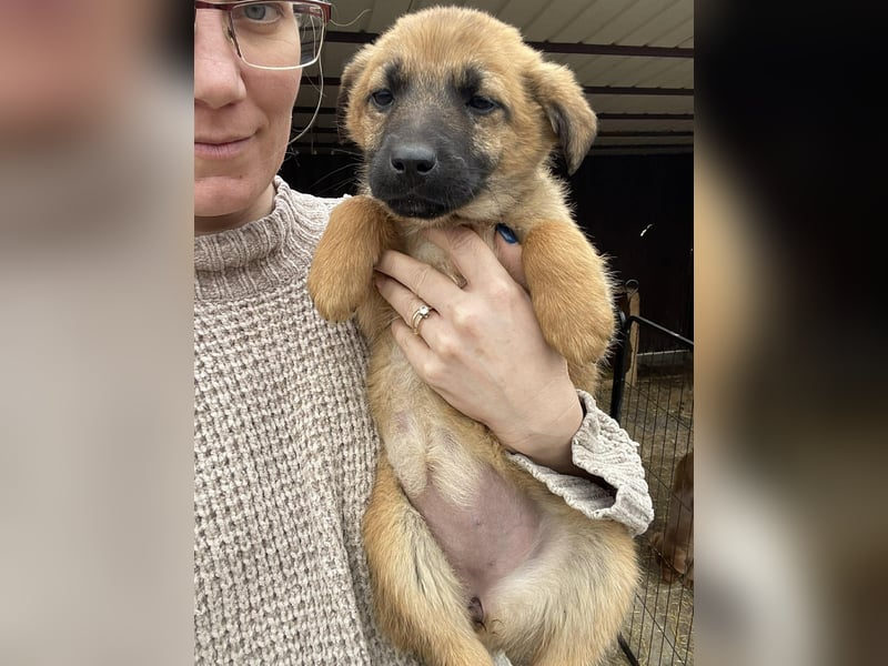 LUNA - darf sie mit dir die Welt entdecken?