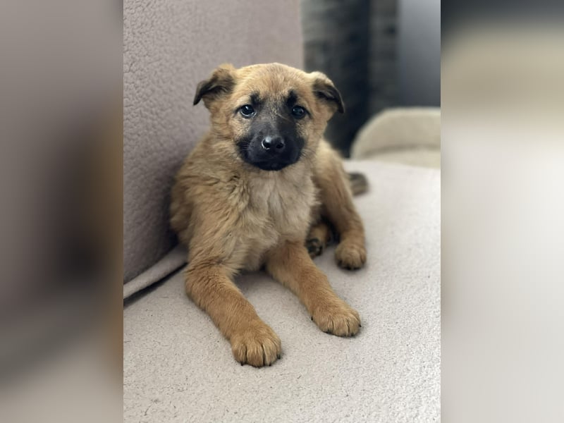 LUNA - darf sie mit dir die Welt entdecken?