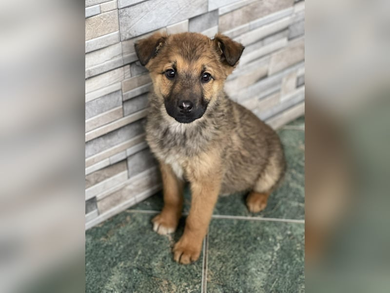 OTTO - Traumzuhause gesucht