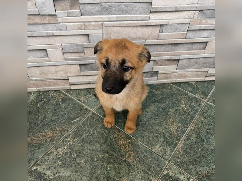 LUNA - darf sie mit dir die Welt entdecken?