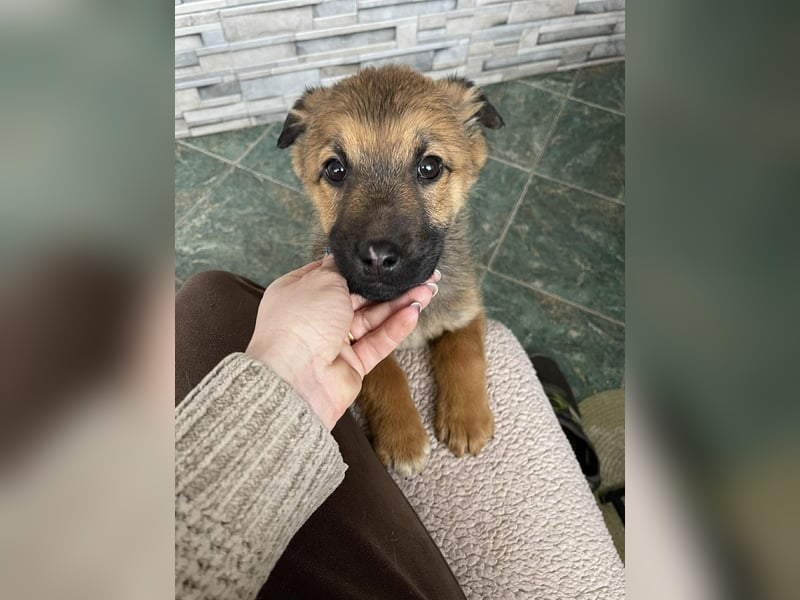 OTTO - Traumzuhause gesucht