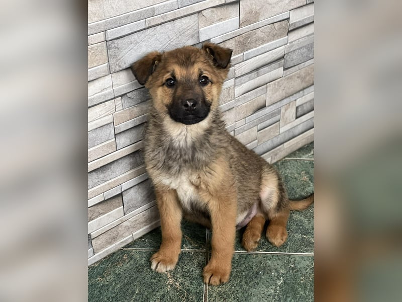 OTTO - Traumzuhause gesucht