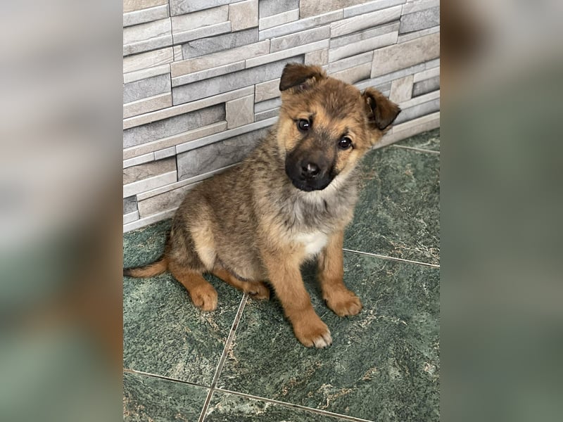 OTTO - Traumzuhause gesucht