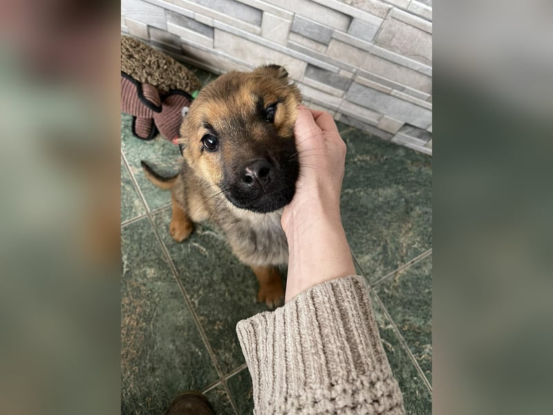 OTTO - Traumzuhause gesucht