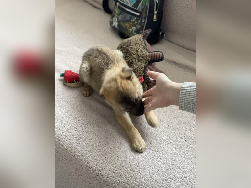 ELSA - ist bereit für ihr Abenteuer