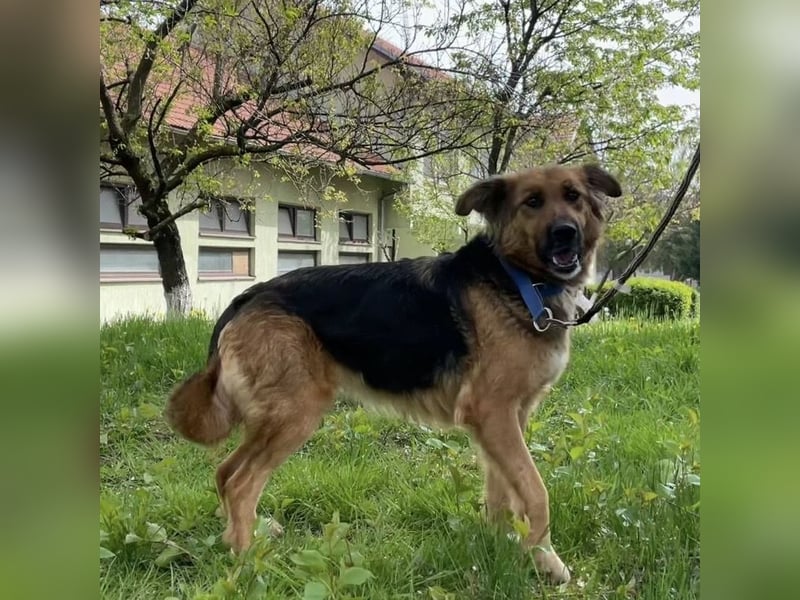 Paula ein lieber Schatz