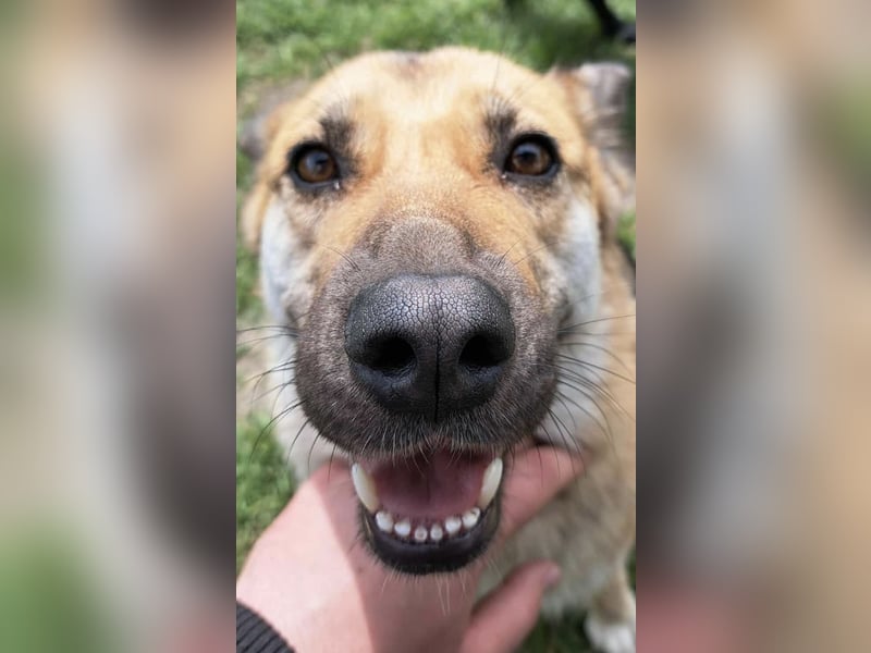 Lu - ein absoluter Notfall