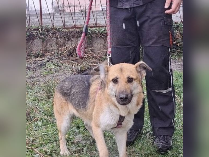 Lu - ein absoluter Notfall