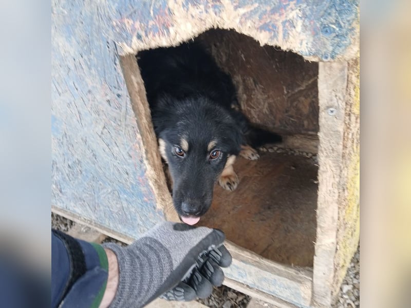 Jolie ein trauriges Mädchen